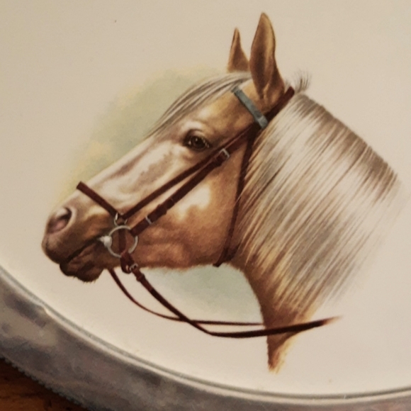Silver Rimmed Plate With Horse Images Shabby Chic - Picture 4 of 8